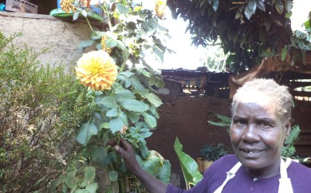 Meet Alice Emmetto, Resourceful Landscaper From Eldama-Ravine