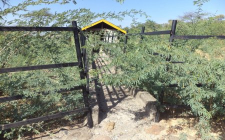 Ambitious Baringo Cattle Dip That Never Was