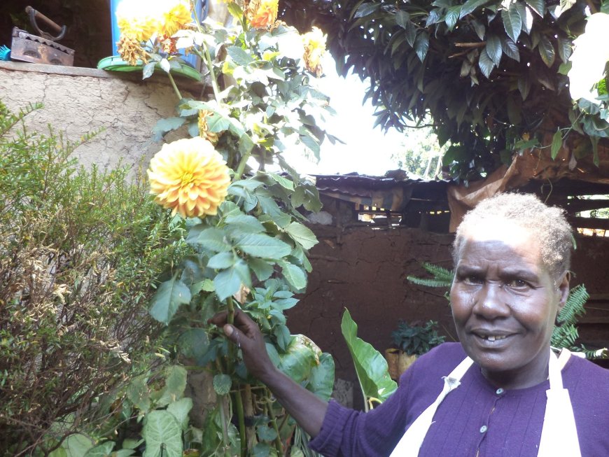 Meet Alice Emmetto, Resourceful Landscaper From Eldama-Ravine