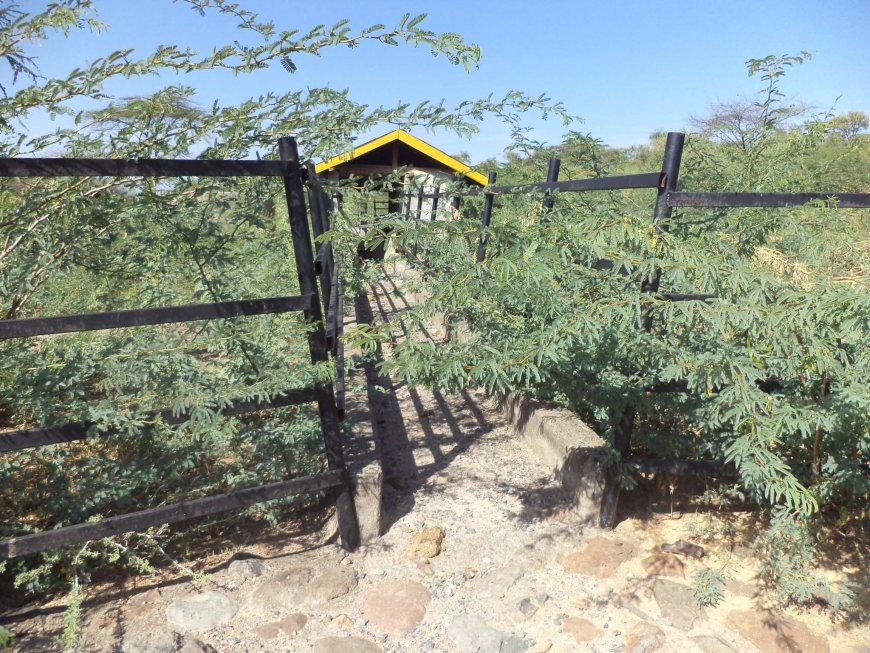 Ambitious Baringo Cattle Dip That Never Was