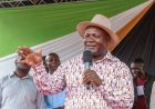 Return to ODM Barasa tells Sifuna
