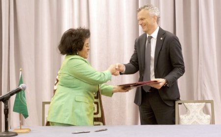 AUDA-NEPAD Sign MOU to Tackle Neglected Tropical Diseases in Africa