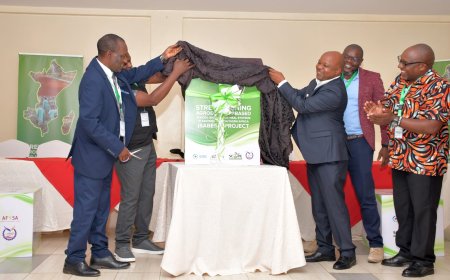 NGO Launches School and College Meal Programme