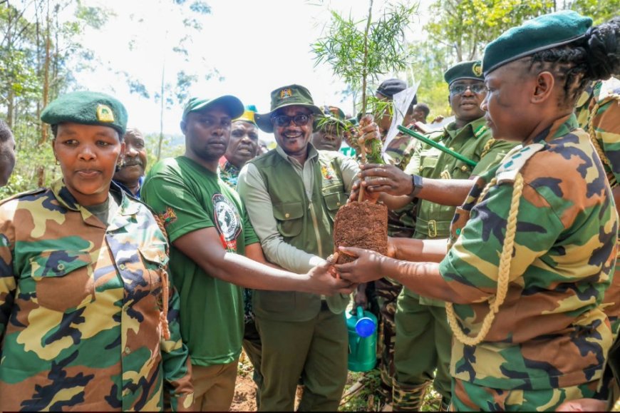 CS Ogamba: Tree Planting Could Generate Carbon Credit Millions to Fund Education